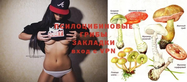 прущая мука Бородино