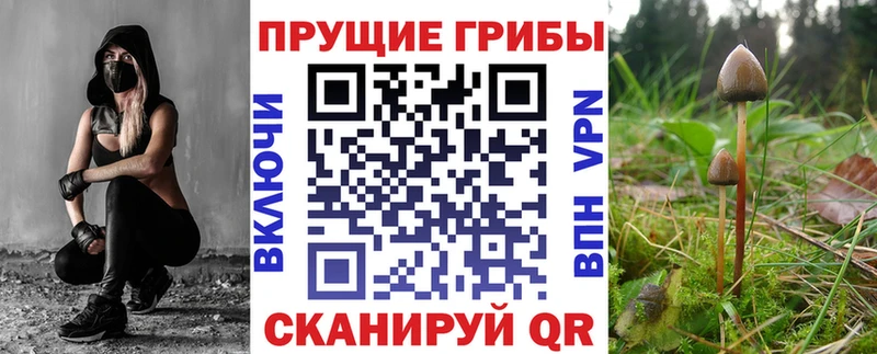 Галлюциногенные грибы ЛСД  Купить где  Волчанск 